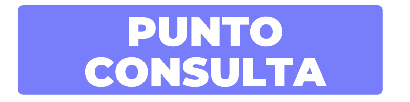 Punto Consulta